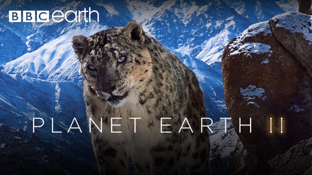 Blank ubrugt Under ~ Is Planet Earth II on Netflix? - Magazine.com.co : Your daily dose of News  & Updates